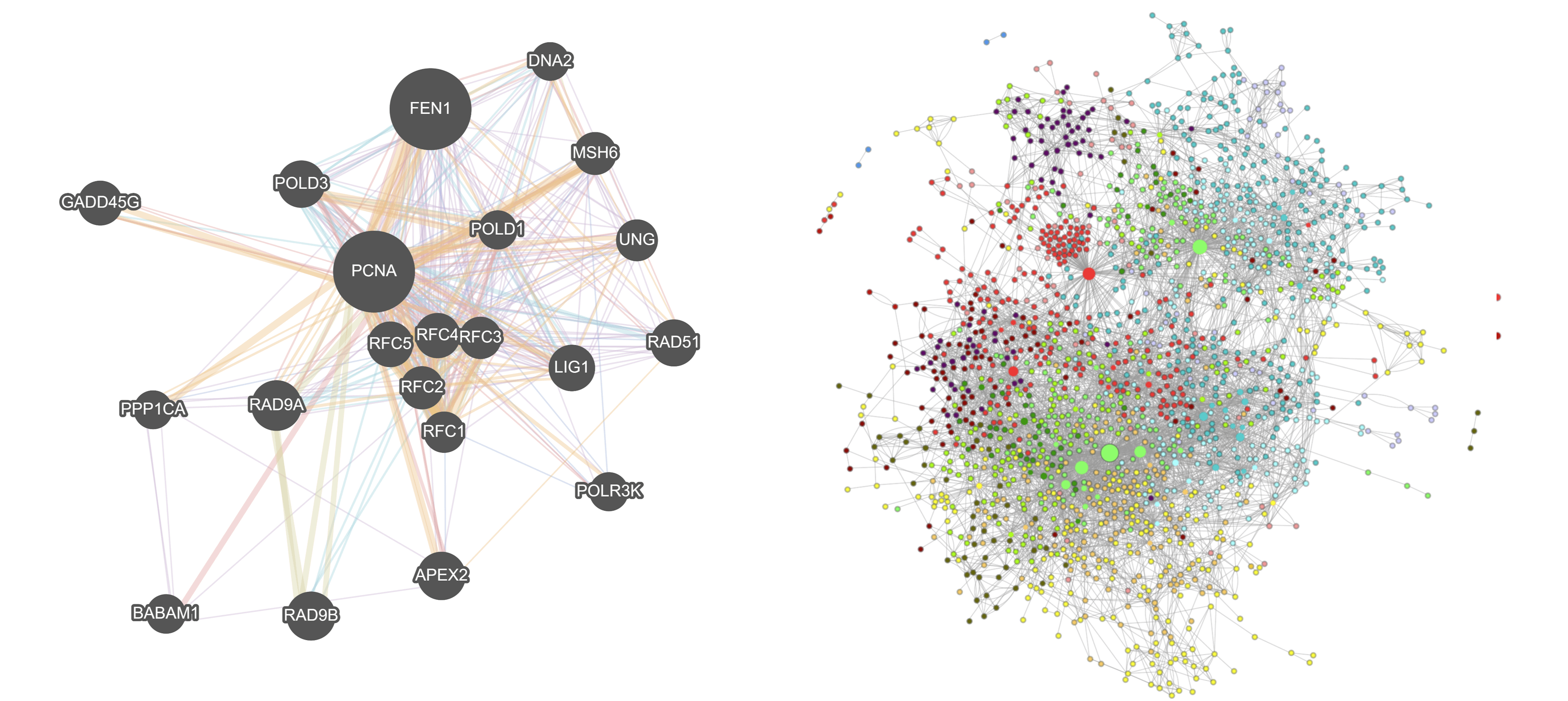 Cytoscape.js vs Ogma